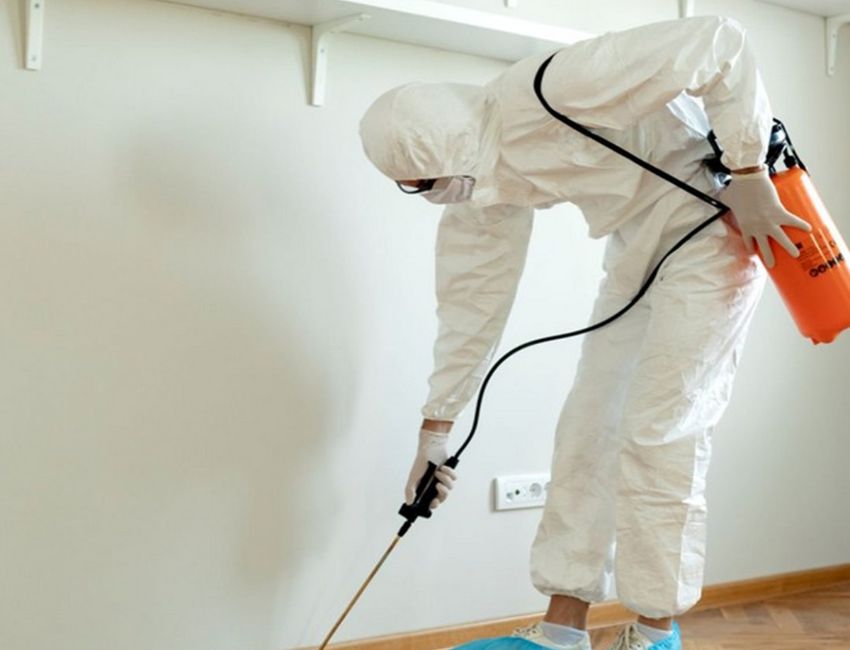 professional pest control services - Grand Power Cleaners